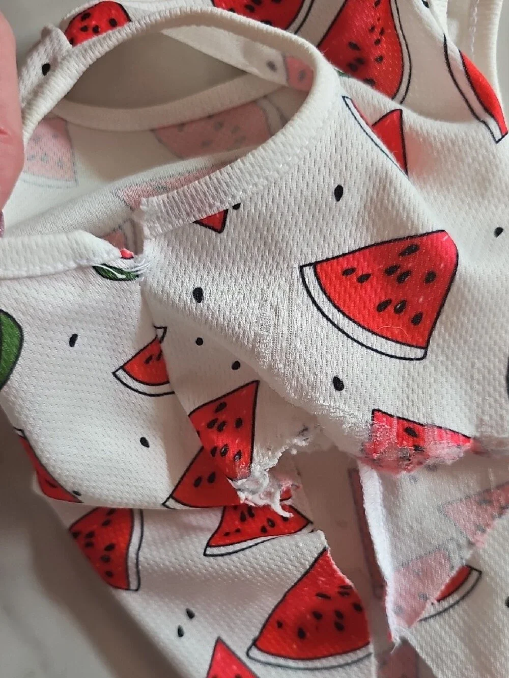 Hello Summer Watermelon Doggy Tee